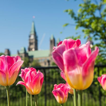 Holiday Inn & Suites Ottawa Kanata By Ihg Экстерьер фото